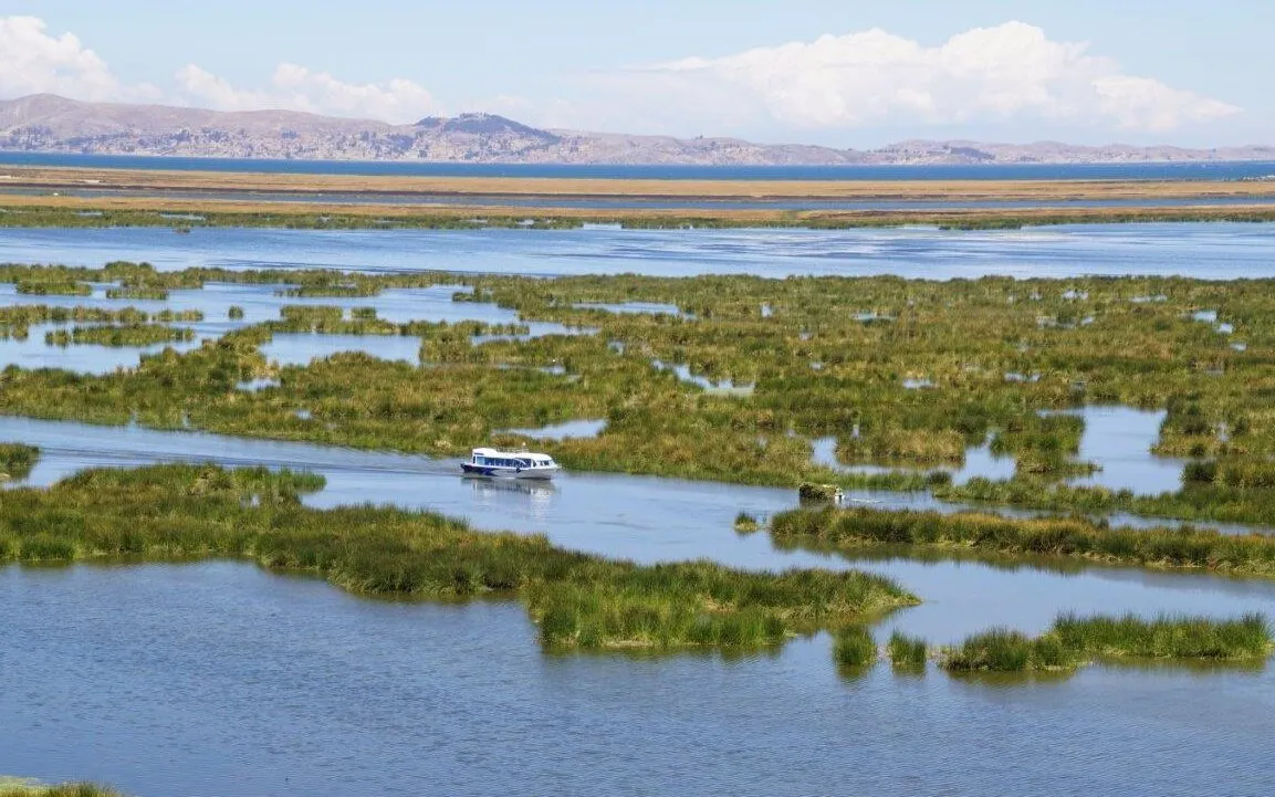 Living Lakes Network