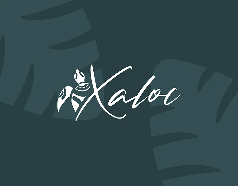 NGO Xaloc